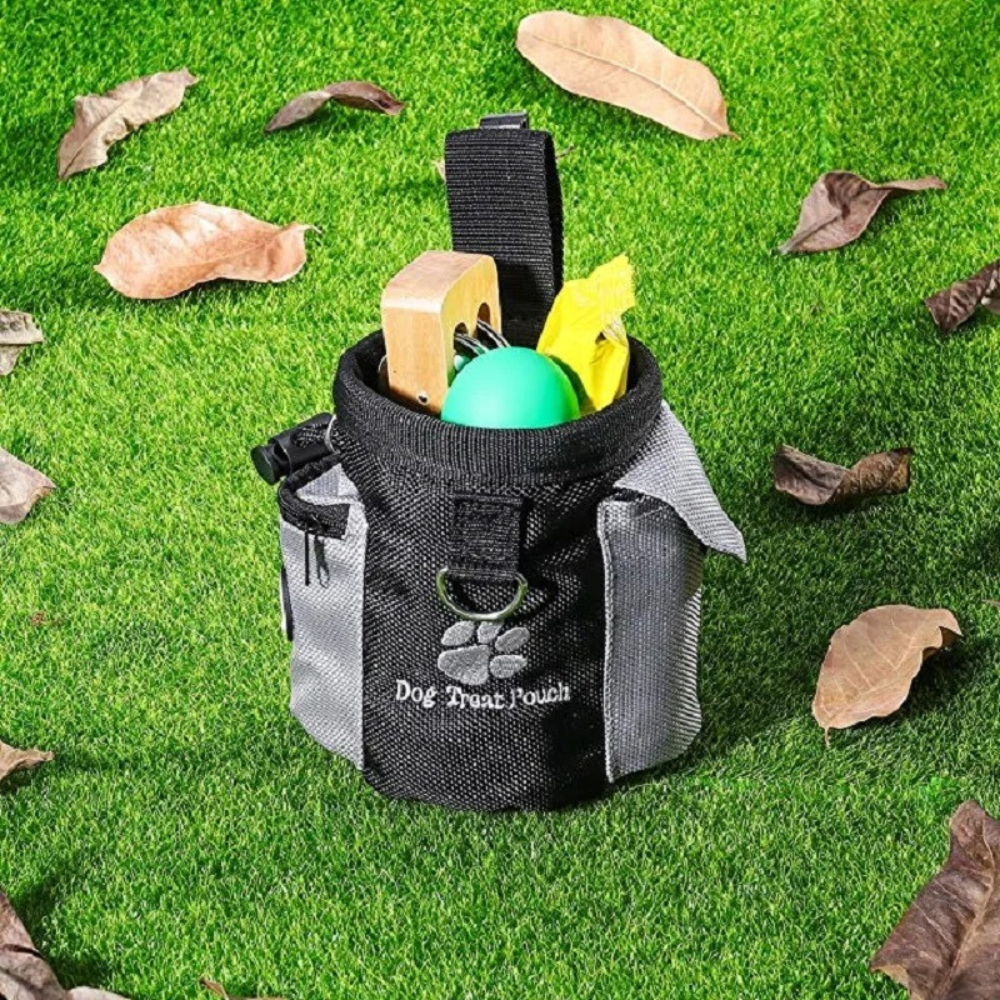 ALL-IN-ONE GASSI-TASCHE - Nie wieder etwas vergessen beim Hundespaziergang! (Profi-Edition 2025) - Dog Aware