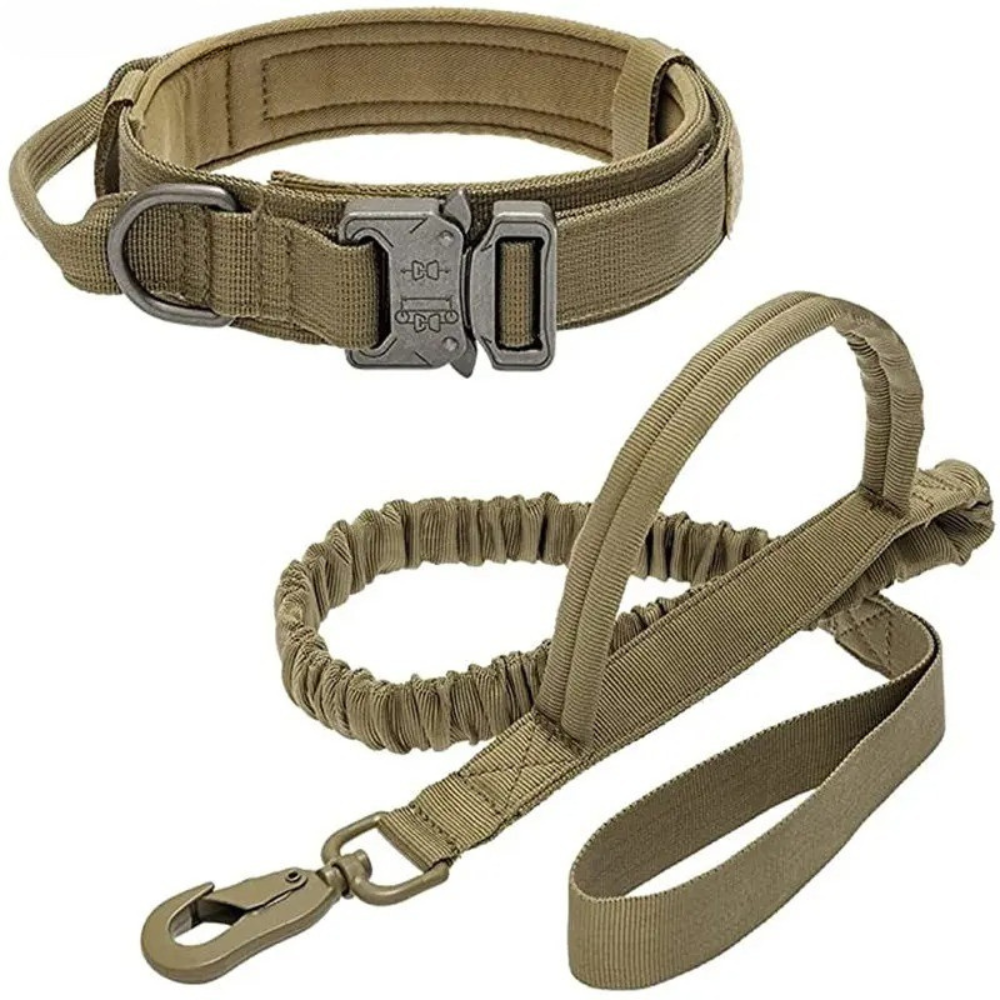 TACTICAL HUNDELEINE-SET - Unzerstörbar wie Ihr Hund stark ist! (Military Grade 2025) - Dog Aware