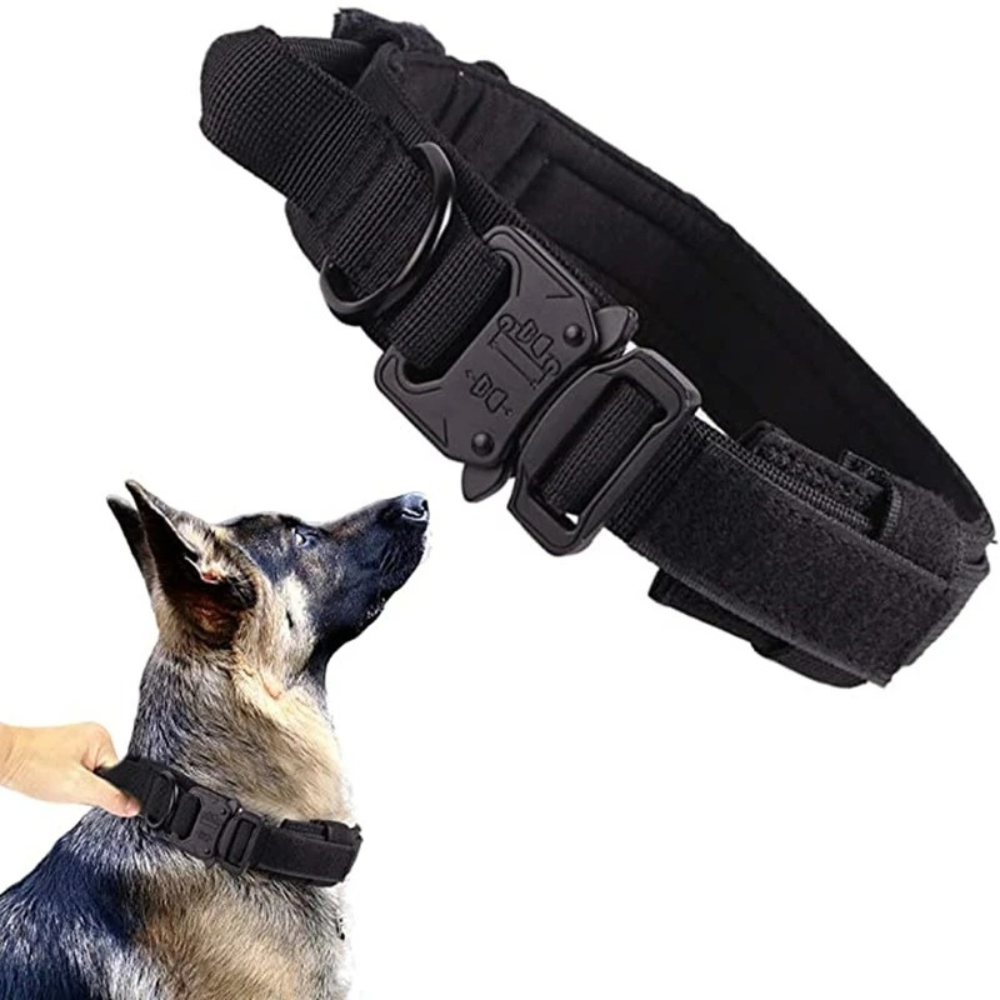 TACTICAL HUNDELEINE-SET - Unzerstörbar wie Ihr Hund stark ist! (Military Grade 2025) - Dog Aware