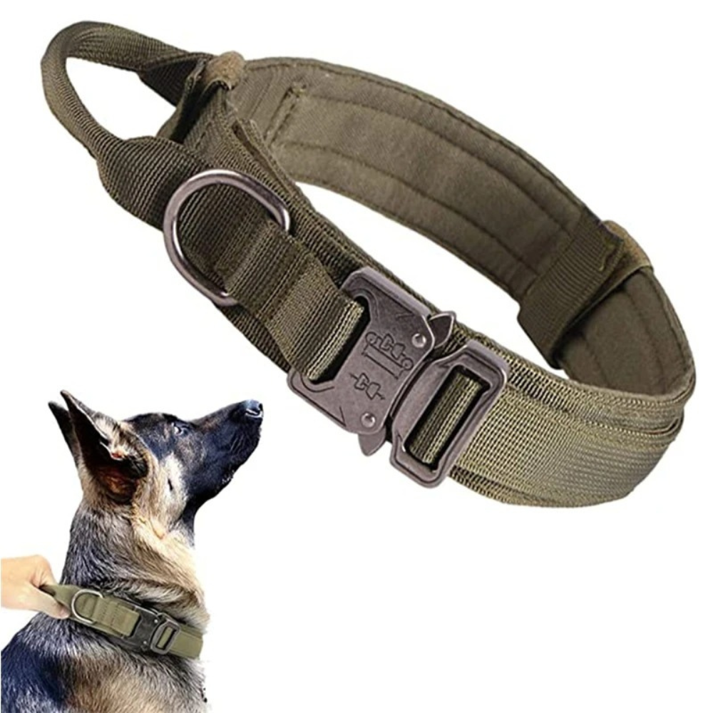 TACTICAL HUNDELEINE-SET - Unzerstörbar wie Ihr Hund stark ist! (Military Grade 2025) - Dog Aware