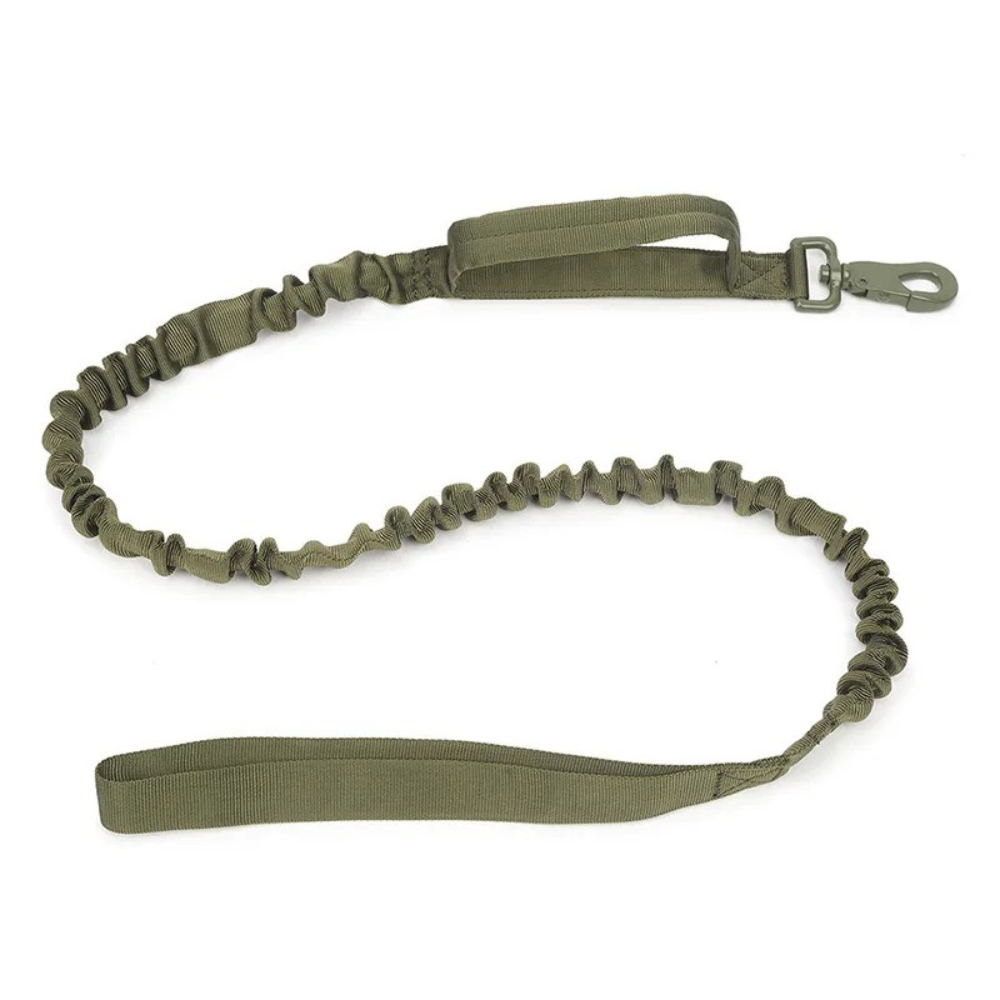 TACTICAL HUNDELEINE-SET - Unzerstörbar wie Ihr Hund stark ist! (Military Grade 2025) - Dog Aware