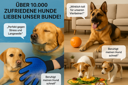 HUNDEBESITZER ESSENTIALS BUNDLE - Alles was jeder Hundebesitzer braucht! (Komplett-Set 2025)