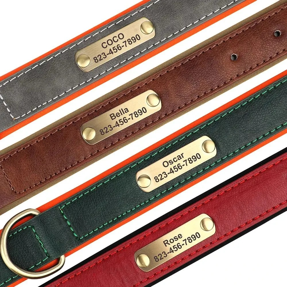 Personalisiertes, individuelles Leder-ID-Namensschild-Hundehalsband, weich gepolsterte Hundehalsbänder, kostenlose Gravur mit Namen für kleine, mittelgroße und große Hunde