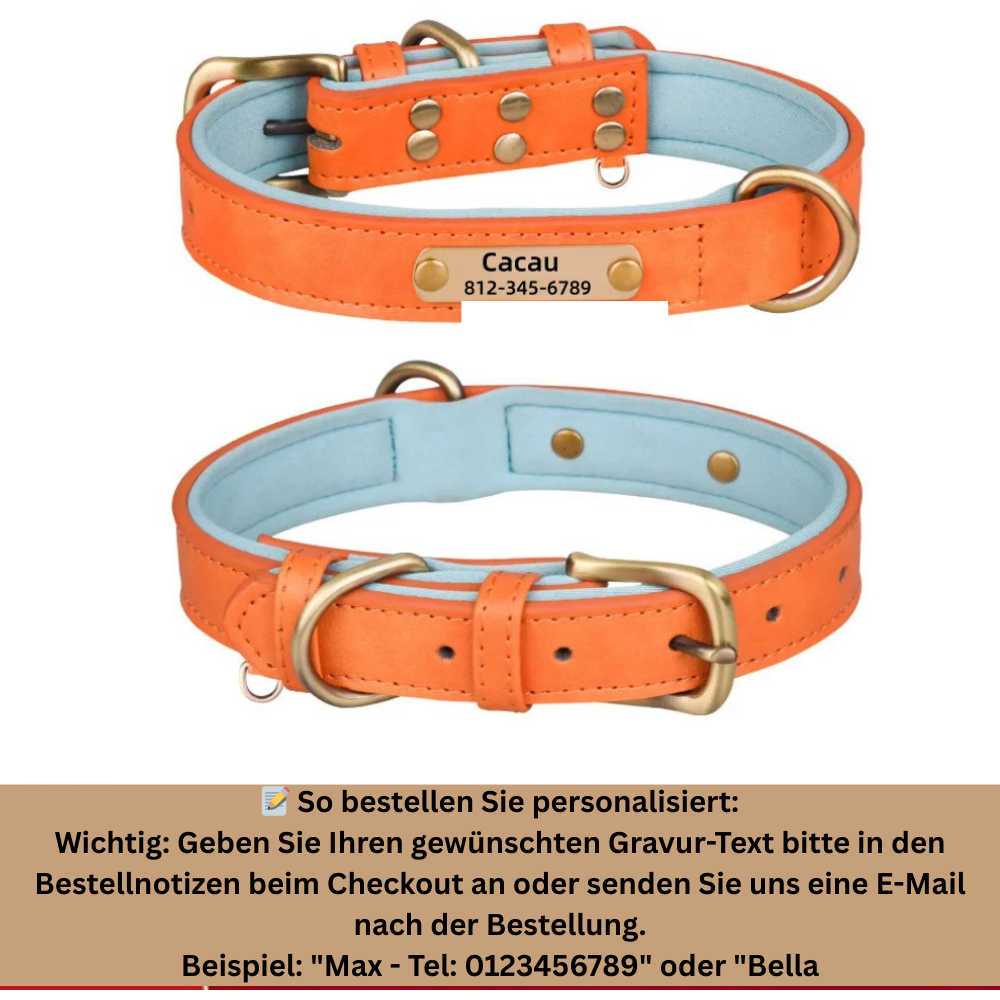 Personalisiertes, individuelles Leder-ID-Namensschild-Hundehalsband, weich gepolsterte Hundehalsbänder, kostenlose Gravur mit Namen für kleine, mittelgroße und große Hunde