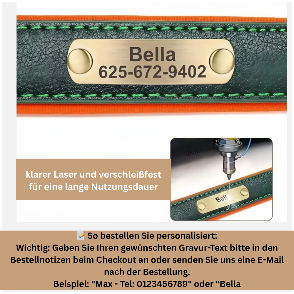 Personalisiertes, individuelles Leder-ID-Namensschild-Hundehalsband, weich gepolsterte Hundehalsbänder, kostenlose Gravur mit Namen für kleine, mittelgroße und große Hunde