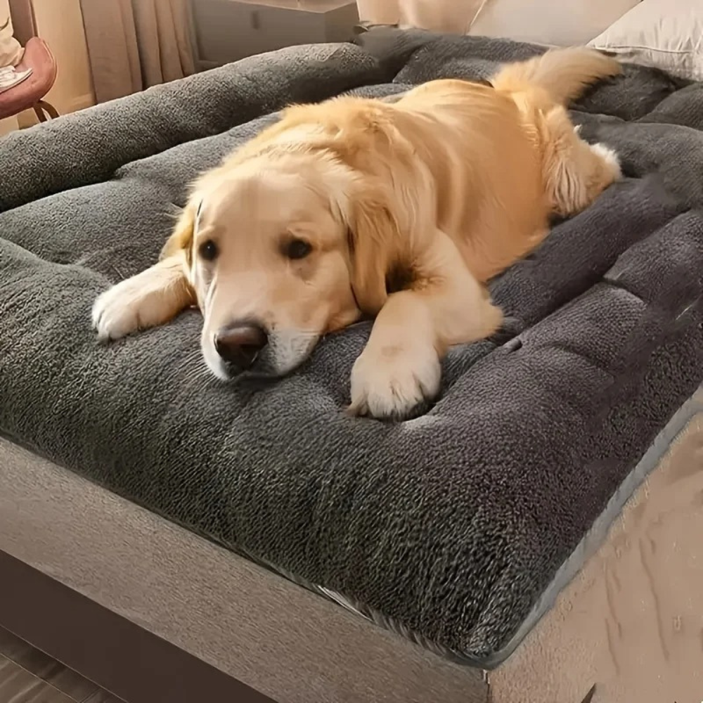 Premium Hundebett XXL - Extra großes Plüsch-Sofa für große Hunde