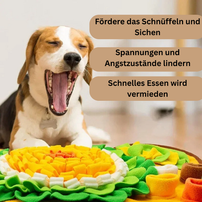 Premium Schnüffelteppich für Hunde - Intelligenzspielzeug & Futterpuzzle für alle Rassen