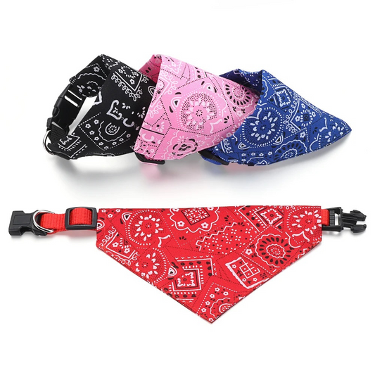 Stilvolles Hundehalstuch – Ein modisches Accessoire für deinen Vierbeiner!
