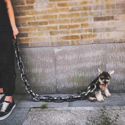 Stylische Hundeleine im Kettendesign – Der ultimative Hingucker bei jedem Spaziergang