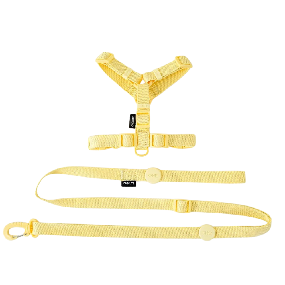Stylisches & ergonomisches Hundegeschirr mit Leine – Für kleine bis mittelgroße Hunde