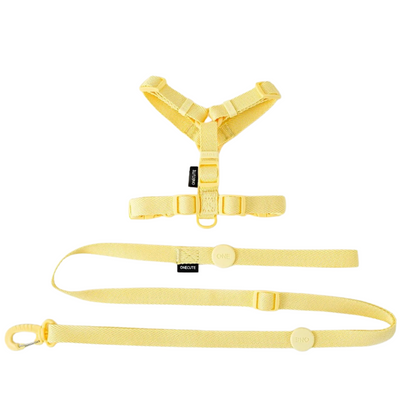 Stylisches & ergonomisches Hundegeschirr mit Leine – Für kleine bis mittelgroße Hunde