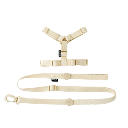 Stylisches & ergonomisches Hundegeschirr mit Leine – Für kleine bis mittelgroße Hunde