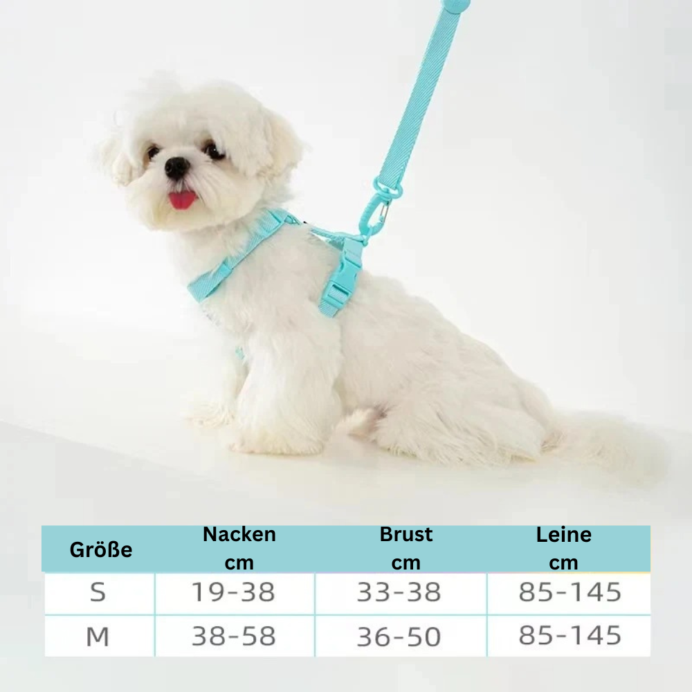 Stylisches & ergonomisches Hundegeschirr mit Leine – Für kleine bis mittelgroße Hunde