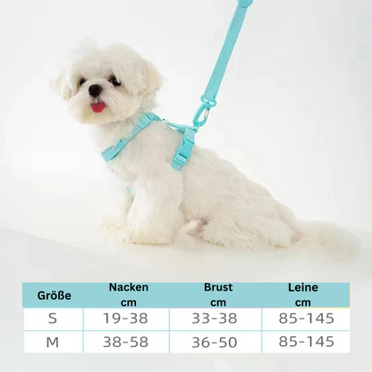 Stylisches & ergonomisches Hundegeschirr mit Leine – Für kleine bis mittelgroße Hunde