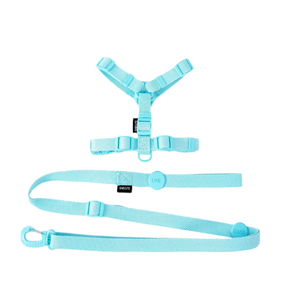 Stylisches & ergonomisches Hundegeschirr mit Leine – Für kleine bis mittelgroße Hunde