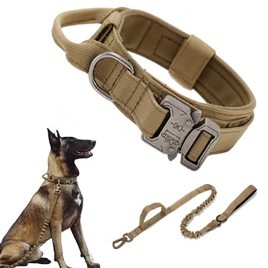 Taktische Hundeleine mit integriertem Halsband – Robustheit trifft auf Funktionalität!