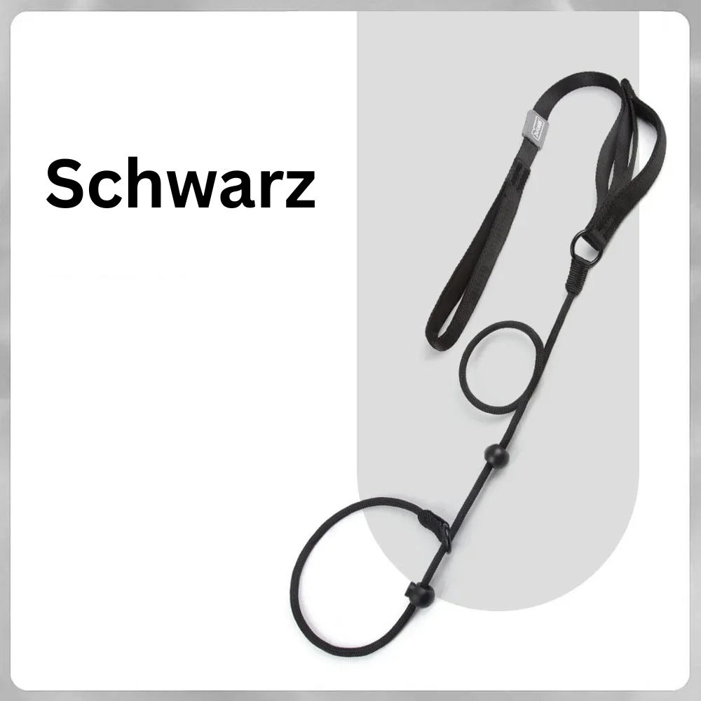 ANTI-ZIEH TRAININGSLEINE - Verwandeln Sie Ihren Zieh-Hund in 7 Tagen! (Profi-Edition 2025) - Dog Aware
