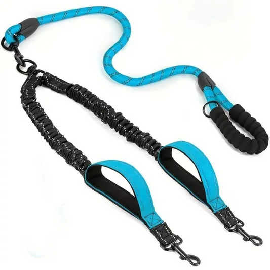 DUAL-POWER LEINE - Zwei Hunde, eine Leine, null Stress! (Mehrhunde-Champion 2025) - Dog Aware