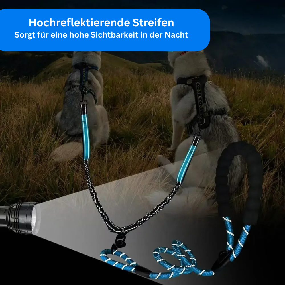 DUAL-POWER LEINE - Zwei Hunde, eine Leine, null Stress! (Mehrhunde-Champion 2025) - Dog Aware