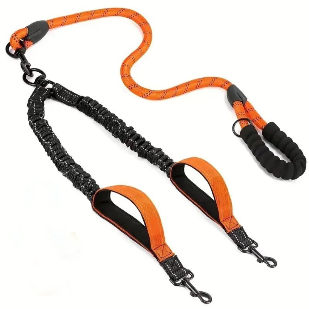 DUAL-POWER LEINE - Zwei Hunde, eine Leine, null Stress! (Mehrhunde-Champion 2025) - Dog Aware