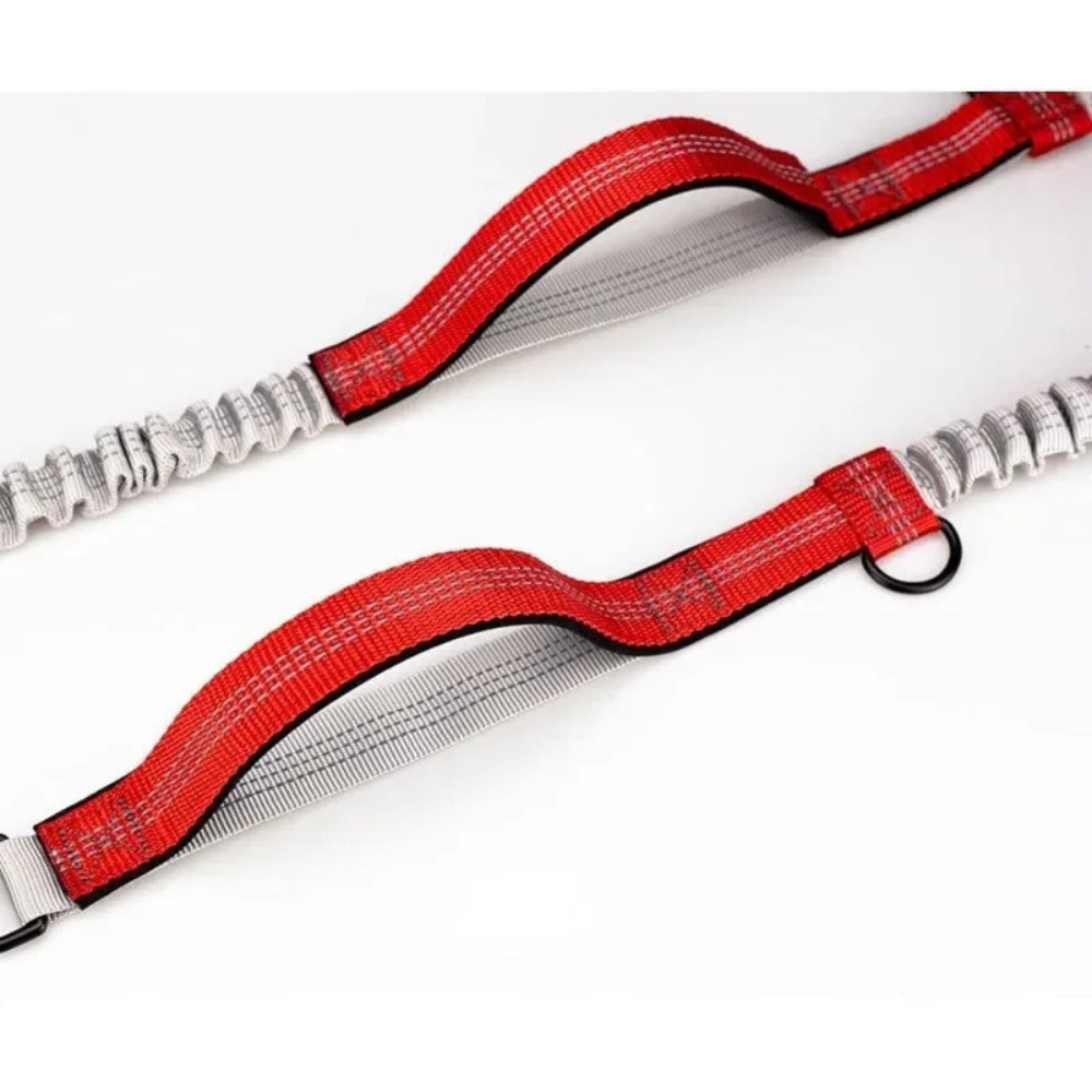 HANDS-FREE JOGGING-LEINE - Endlich freie Hände beim Laufen mit Ihrem Hund! (Bestseller 2025) - Dog Aware