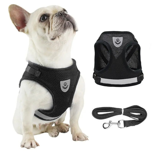 Stylisches & ergonomisches Hundegeschirr mit Leine –  Für kleine Hunde - Dog Aware