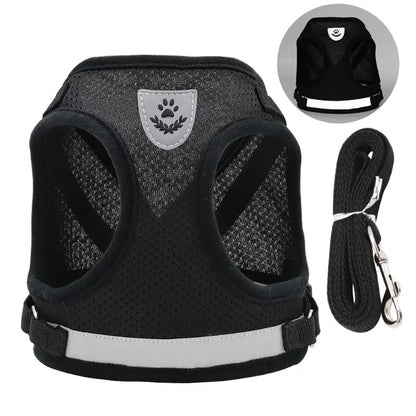 Stylisches & ergonomisches Hundegeschirr mit Leine –  Für kleine Hunde - Dog Aware