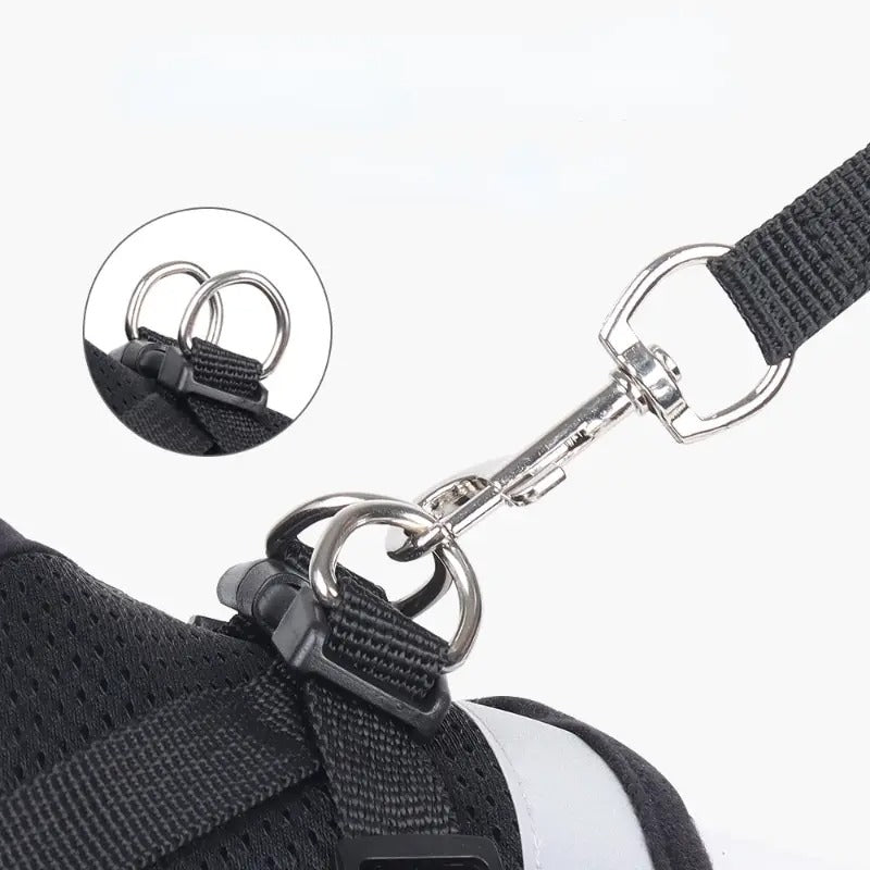 Stylisches & ergonomisches Hundegeschirr mit Leine –  Für kleine Hunde - Dog Aware
