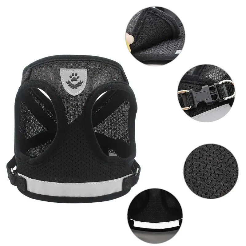 Stylisches & ergonomisches Hundegeschirr mit Leine –  Für kleine Hunde - Dog Aware
