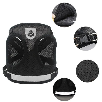 Stylisches & ergonomisches Hundegeschirr mit Leine –  Für kleine Hunde - Dog Aware