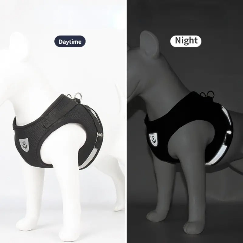 Stylisches & ergonomisches Hundegeschirr mit Leine –  Für kleine Hunde - Dog Aware
