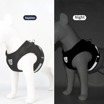 Stylisches & ergonomisches Hundegeschirr mit Leine –  Für kleine Hunde - Dog Aware