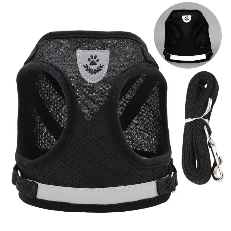 Stylisches & ergonomisches Hundegeschirr mit Leine –  Für kleine Hunde - Dog Aware