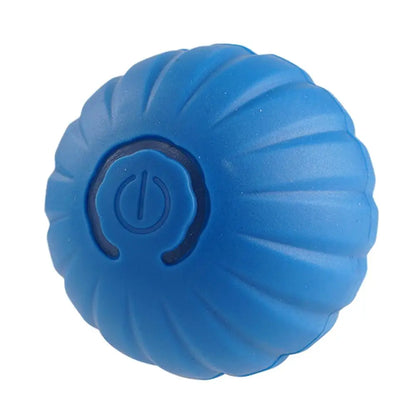 Technische Features intelligenter Hundespielzeugball in blau