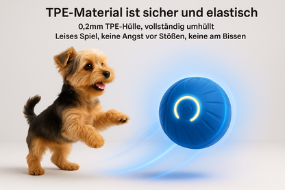 Sicherer TPE-Material Hundespielzeugball - Yorkshire Terrier spielt sicher mit LED-Ball