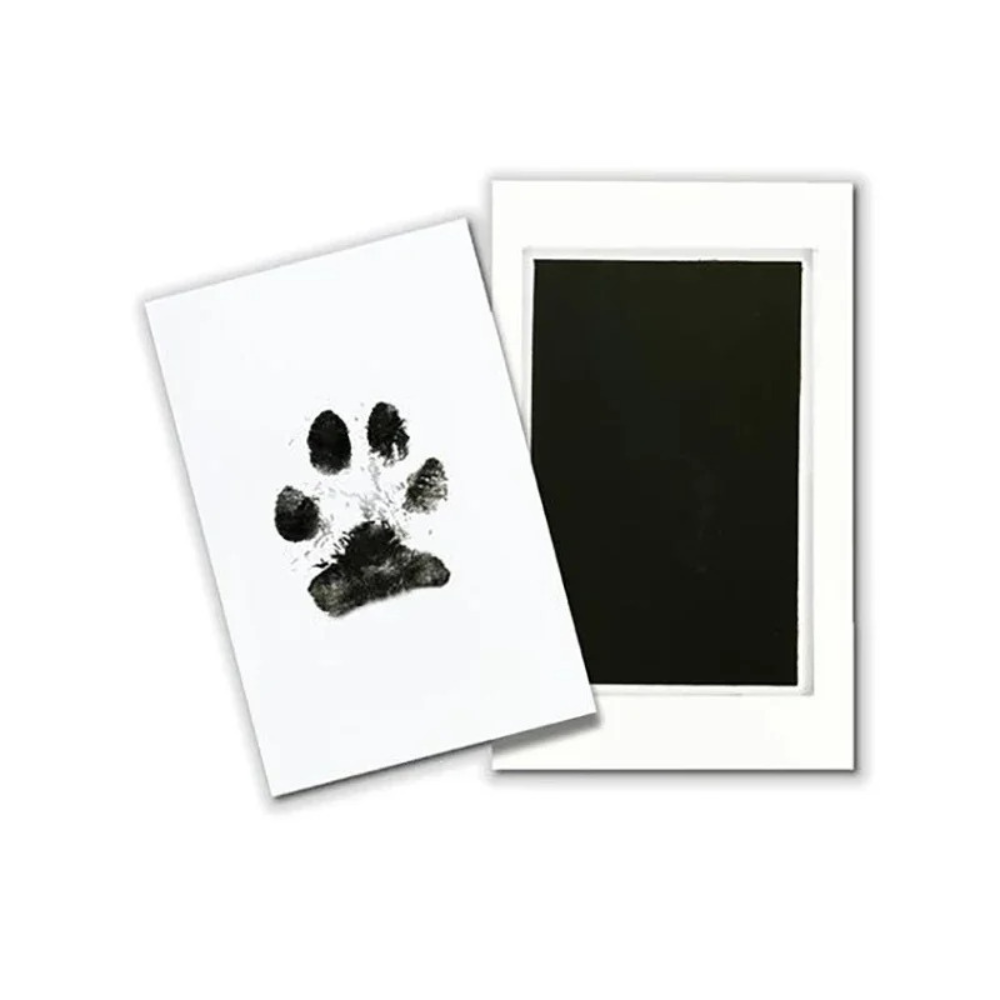 MEMORY-PFOTENSET - Für immer in Ihrem Herzen, für immer sichtbar! (Emotional Edition 2025) - Dog Aware