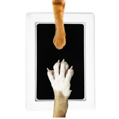MEMORY-PFOTENSET - Für immer in Ihrem Herzen, für immer sichtbar! (Emotional Edition 2025) - Dog Aware