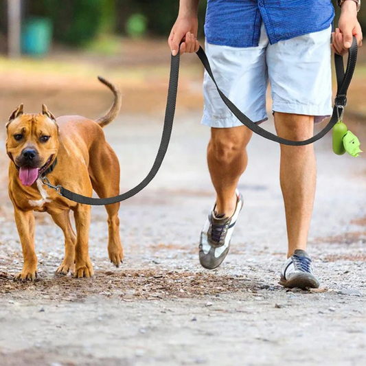 SICHERHEITS-HUNDELEINE mit 360° Reflex-Schutz - Nie wieder unsichtbar bei Nacht! (Bestseller 2025) - Dog Aware