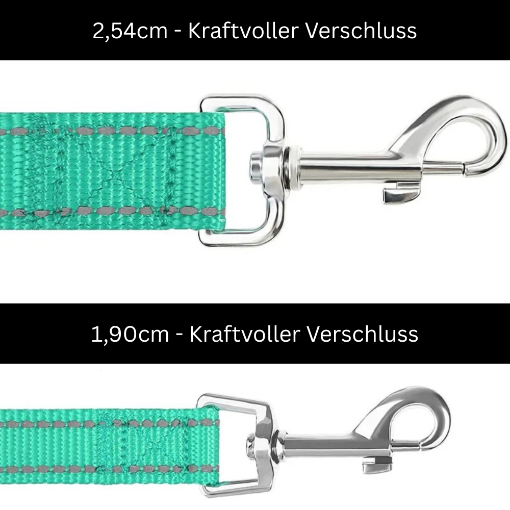 SICHERHEITS-HUNDELEINE mit 360° Reflex-Schutz - Nie wieder unsichtbar bei Nacht! (Bestseller 2025) - Dog Aware