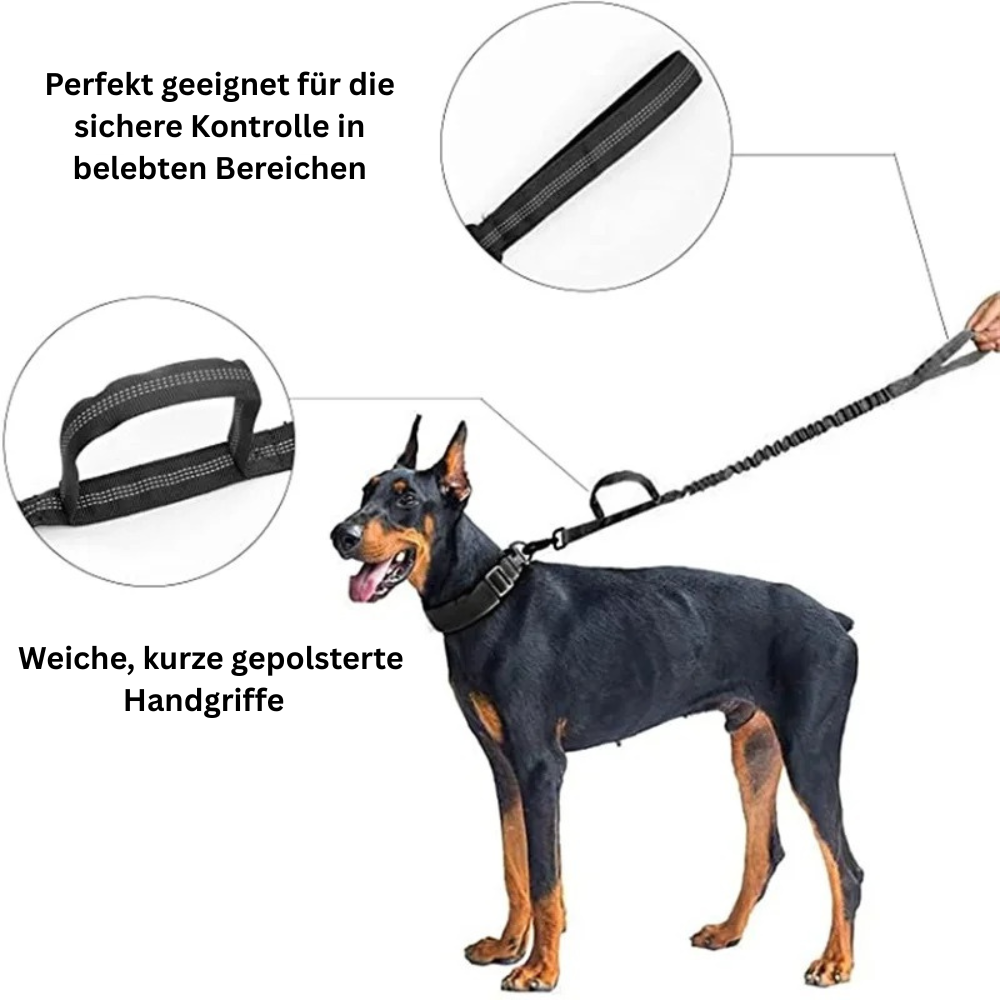 TACTICAL HUNDELEINE-SET - Unzerstörbar wie Ihr Hund stark ist! (Military Grade 2025) - Dog Aware