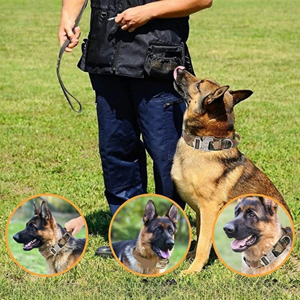 TACTICAL HUNDELEINE-SET - Unzerstörbar wie Ihr Hund stark ist! (Military Grade 2025) - Dog Aware