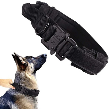 TACTICAL HUNDELEINE-SET - Unzerstörbar wie Ihr Hund stark ist! (Military Grade 2025) - Dog Aware