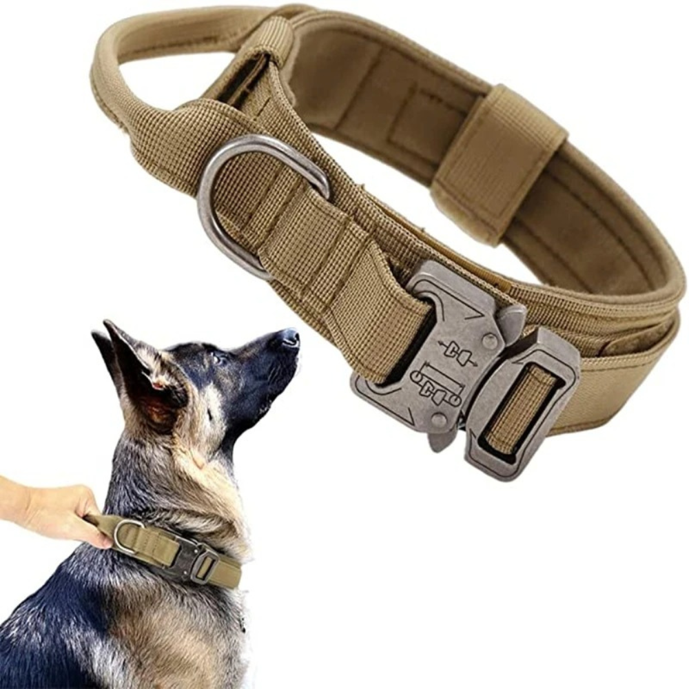 TACTICAL HUNDELEINE-SET - Unzerstörbar wie Ihr Hund stark ist! (Military Grade 2025) - Dog Aware