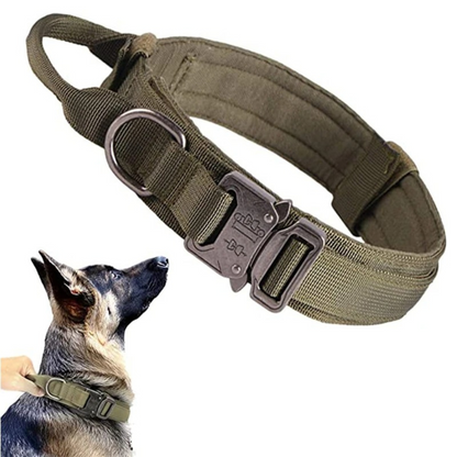 TACTICAL HUNDELEINE-SET - Unzerstörbar wie Ihr Hund stark ist! (Military Grade 2025) - Dog Aware