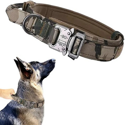 TACTICAL HUNDELEINE-SET - Unzerstörbar wie Ihr Hund stark ist! (Military Grade 2025) - Dog Aware