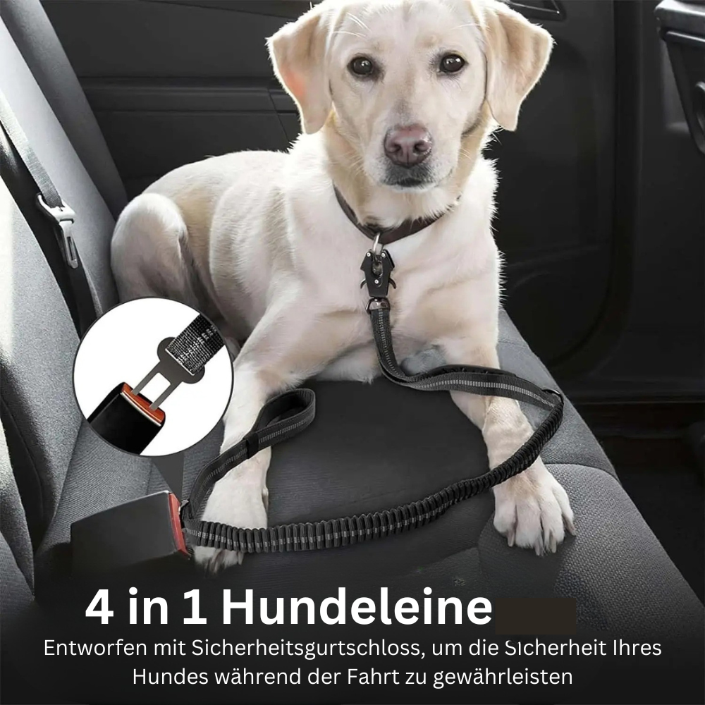 360° Anti-Tangle Karabiner der Titan-Leine verhindert Verdrehen zu 100%