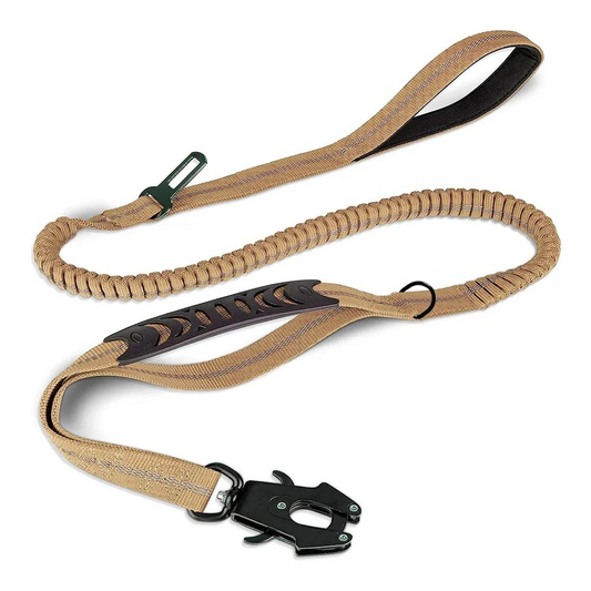 TITAN-LEINE 4-IN-1 - Unzerstörbar für Kraftpakete bis 80kg! (Heavy-Duty Champion 2025) - Dog Aware